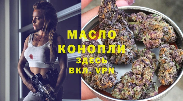 тгк Абаза